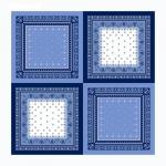   Набор мужских носовых платков (2 шт)