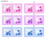   Набор женских носовых платков (2шт)