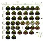 B.Life color. Стойкая крем-краска без аммиака 100 мл