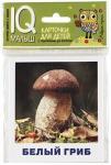 Серия: IQ-малыш.Умный малыш. Грибное лукошко. Набор карточек для детей.