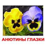 Карточки "Цветы"