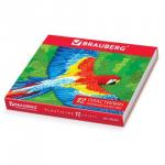 Пластилин классический BRAUBERG 12 цв., 240 г, со стеком, ВЫСШЕЕ КАЧЕСТВО, картонная упаковка, 103357