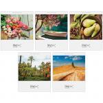 Тетрадь 48л., А5, линия ArtSpace "Природа. Nature scences", Т48л_7786