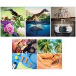 Тетрадь 48л., А5, клетка ArtSpace "Стиль. Play Nature", Т48к_13655