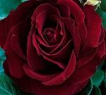 Черная Магия