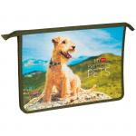 Папка для тетрадей 1 отделение, А4, ArtSpace Домашние питомцы, пластик, на молнии, ПТ-815_15525