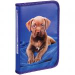 Пенал 1 отделение, 190*130 ArtSpace Домашние питомцы, ламинация, ПК3_30П29_15509