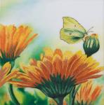 Набор для вышивания "PANNA" "Живая картина"   JK-2077  ( ЖК-2077 )  "Календула"