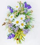 Набор для вышивания "PANNA" "Живая картина"   JK-2012  ( ЖК-2012 )  "Ромашки и колокольчики"