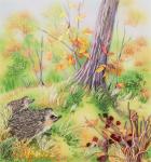 Набор для вышивания "PANNA" "Живая картина"   JK-2106  ( ЖК-2106 )  "Ежи"