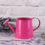 Кашпо-Лейка "Уют", фуксия, 8,5х8 см