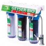 Гейзер Био 332