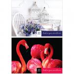 Альбом для рисования 40 л., А4, на склейке ArtSpace "Яркий акцент", А40кл_14809