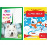 Картон белый A4, ArtSpace, 8л., мелованный в папке, Нк8б_001 / 152941