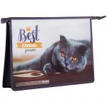 Папка для труда 2 отделения, А4, ArtSpace "Домашние питомцы", пластик, на молнии, ПТР-22_15705