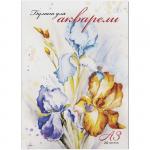 Папка для акварели 20л. А3, ArtSpace "Ирисы", блок рис.бум. 180 г/м2, Па20А3_013