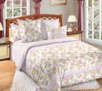 Ариэль 1 основа