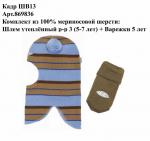 Комплект шлем 869 +варежки 836