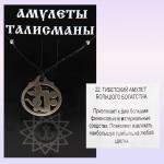 Амулет NNAMN-21 Большого богатства медицинская сталь 3см ааси82