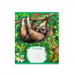 Тетрадь  Джунгли, 24 листа, клетка (в плёнке по 10 шт.)