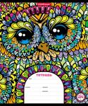 Тетрадь школьная  Owls, 24 листа, клетка (в плёнке по 10 шт.)