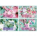 Альбом для рисования 48л., А4, на гребне "Нежная акварель", эконом, АР4гр48 5376