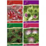 Тетрадь 160л., А5, клетка на гребне BG "Nature Macro", глянцевая ламинация, твердая обложка, Т5гр_7БЦ160_лам 3385