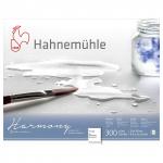 Hahnemuhle Альбом-склейка для акварели "Harmony", 300 г/м2, А4, целлюлоза 100%, 12 л, крупное зерно