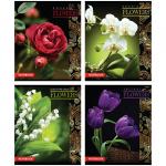 Тетрадь 48л., А5, клетка ArtSpace "Цветы на темном", эконом, Т48кЭ_5216