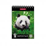 блокнот на спирали  Панда, А6, 60 листов, клетка