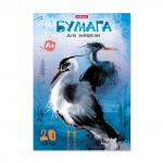 Альбом для рисования с бумагой для акварели на клею ErichKrause® Птицы жарких стран, А4, 20 листов