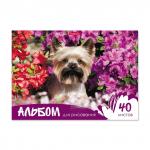 Альбом для рисования на клею ErichKrause® Жизнь в цветах, А4, 40 листов