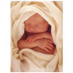 В ожидании чуда. Дневник моей беременности (с маленьким браком)