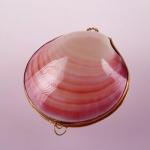 Кристалл в подарочных натуральных тихоокеанских раковинах  и пакете, РОЗОВЫЕ, 65—75 гр.