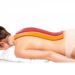 Аппликатор Ляпко "Двойной" (шаг игл 6,2 мм;  размер 105х460 мм)