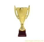 Наградной спортивный кубок, 22 см