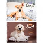 Альбом для рисования 24л., А4, на гребне ArtSpace "Питомцы. Pretty sweet", А24сп_14474
