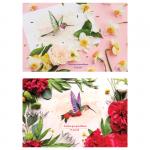 Альбом для рисования 12л., А4, на скрепке ArtSpace "Колибри", обложка-офсет, А12ф_20281