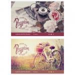 Альбом для рисования 32л., А4, на скрепке ArtSpace "Стиль. Follow your passion", А32Э_14963