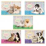 *Альбом для рисования 40л А4 Маленькие друзья на скобе 40А4В 004128