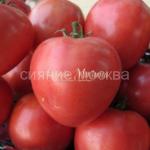 Томат Сердцеед Малиновый 15шт. Семена