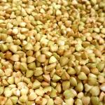 Гречка зеленая