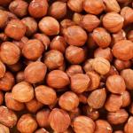 - Фундук (ядро)