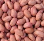 Арахис (ядро), Аргентина