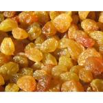 Изюм золотой, Узбекистан