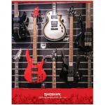 Дневник для музыкальной школы 48 л. (твердый) Гитары, глянцевая ламинация, ДМз48т_24275
