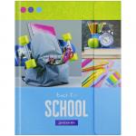 Дневник 1-11 кл. 48 л. (твердый) Back to school, тонир. блок, ляссе,магн. клапан, тиснение, DU48kh_22765