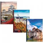 Тетрадь А4 96л. BRAUBERG ЭКО клетка, обложка картон, ЗАМКИ, 403070