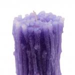 Аромасвеча ZDV128 Хворост 130 гр