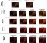 Краска для волос безаммиачная Color Pure